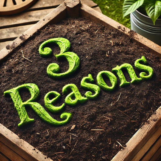 3 Reasons Why Compostable Bags Are Better for the Environment