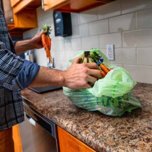 Compostable Checkout Bag – Standard Size