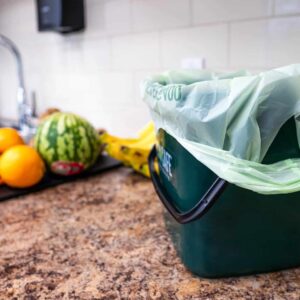Compostable Checkout Bag – Standard Size