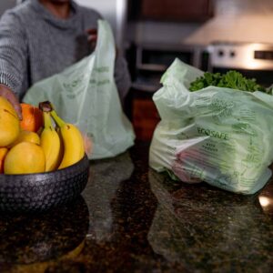 Compostable Checkout Bag – Standard Size