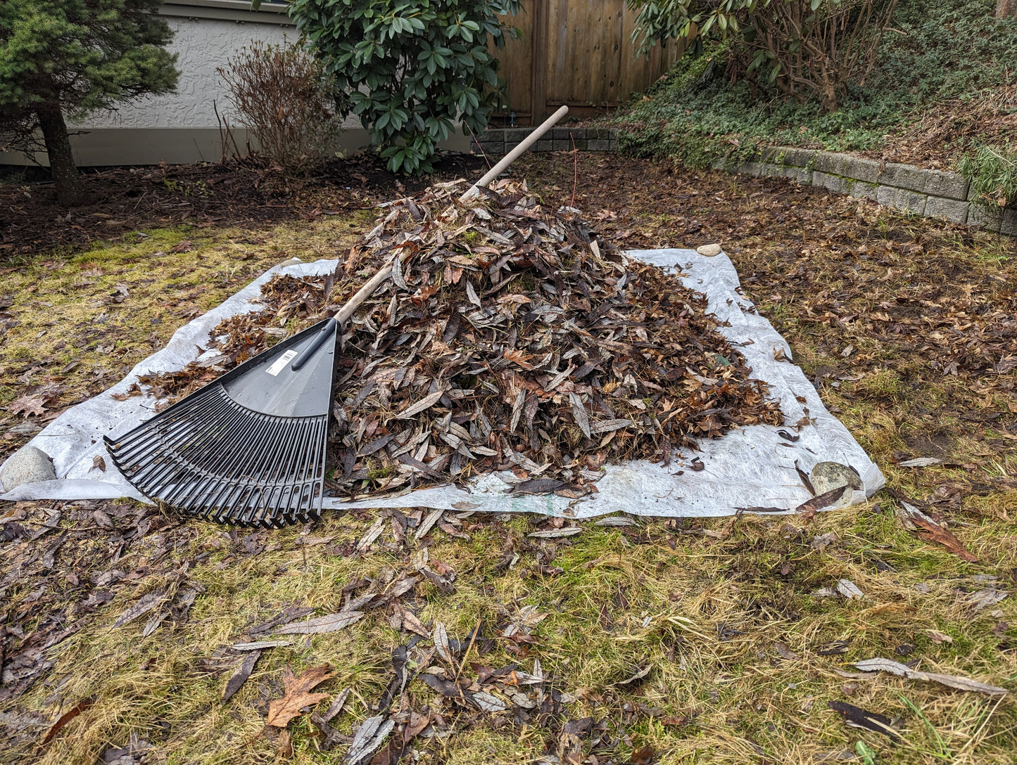 72x72" Compostable Lawn and Leaf Tarp