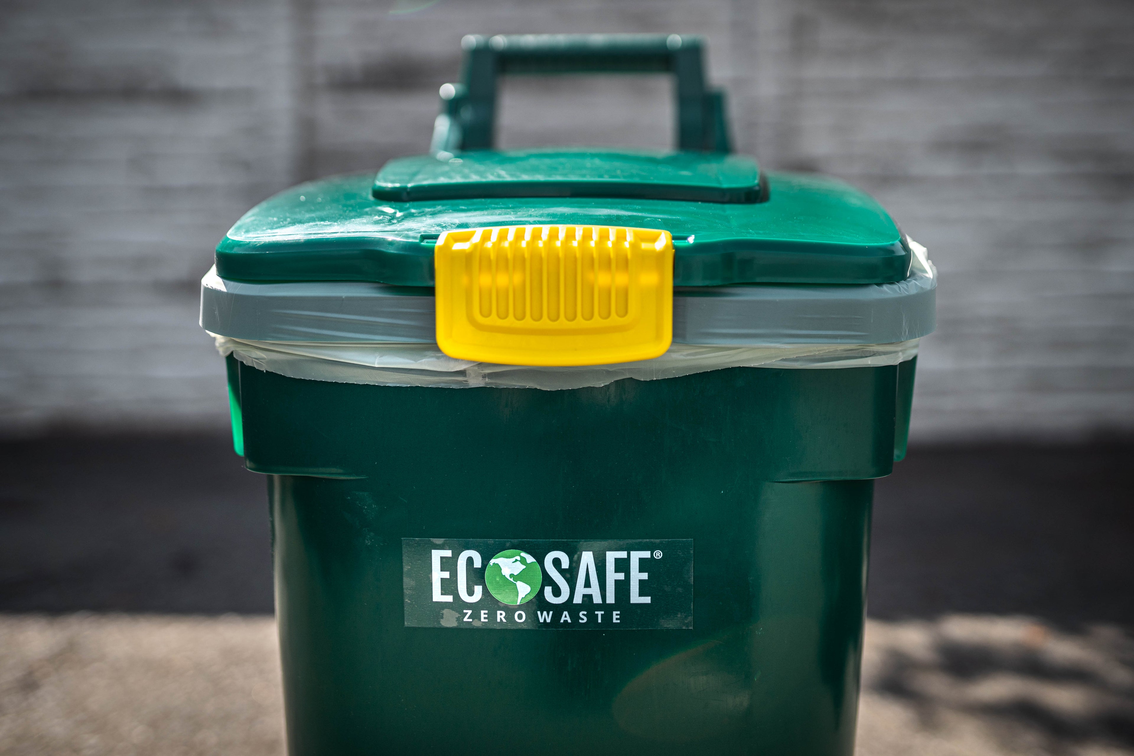 EcoSafe Bin