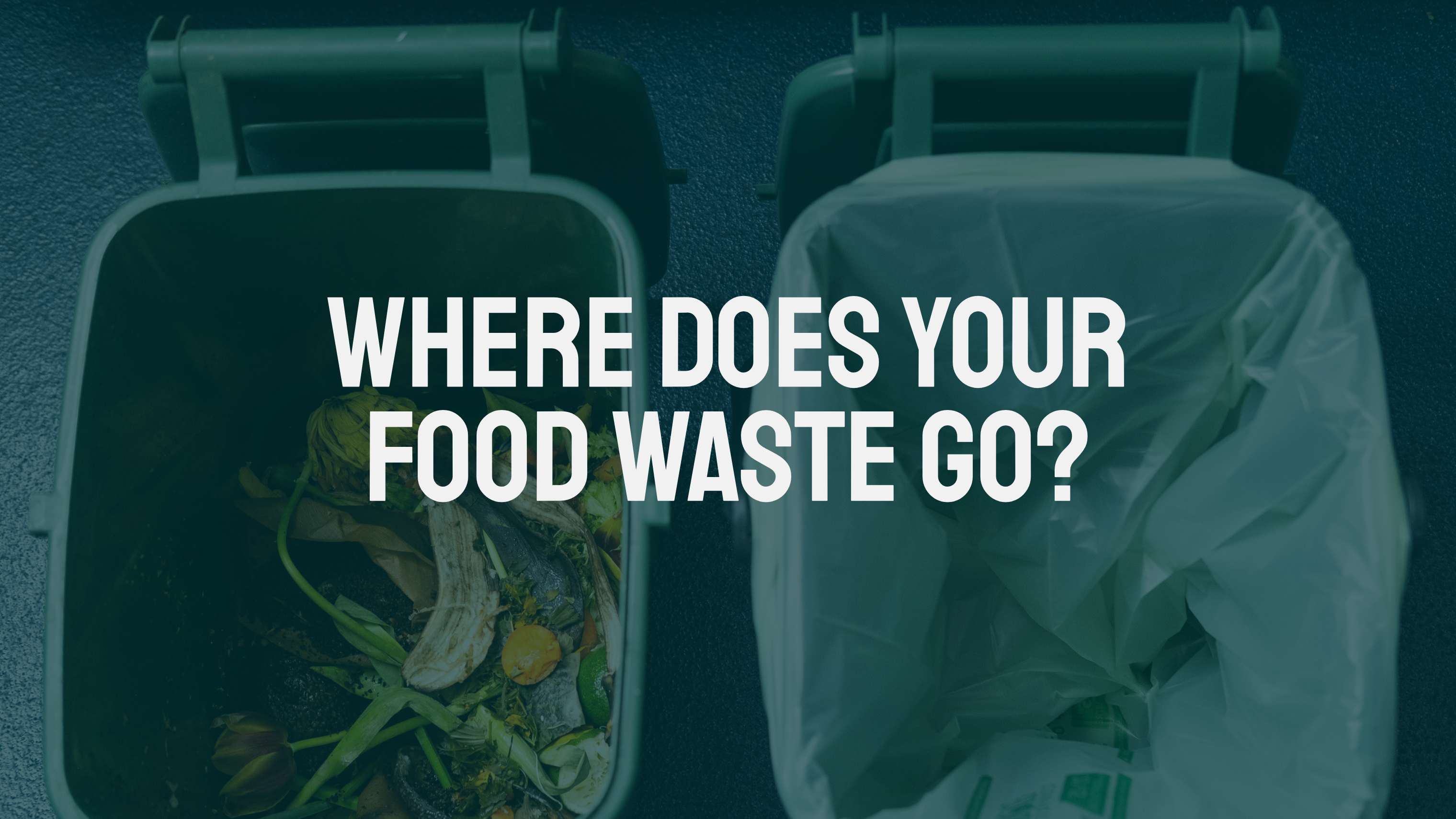 Where Does Your Food Waste Go? (And Why It Matters)