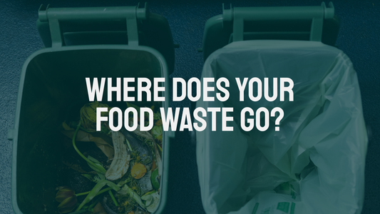Where Does Your Food Waste Go? (And Why It Matters)