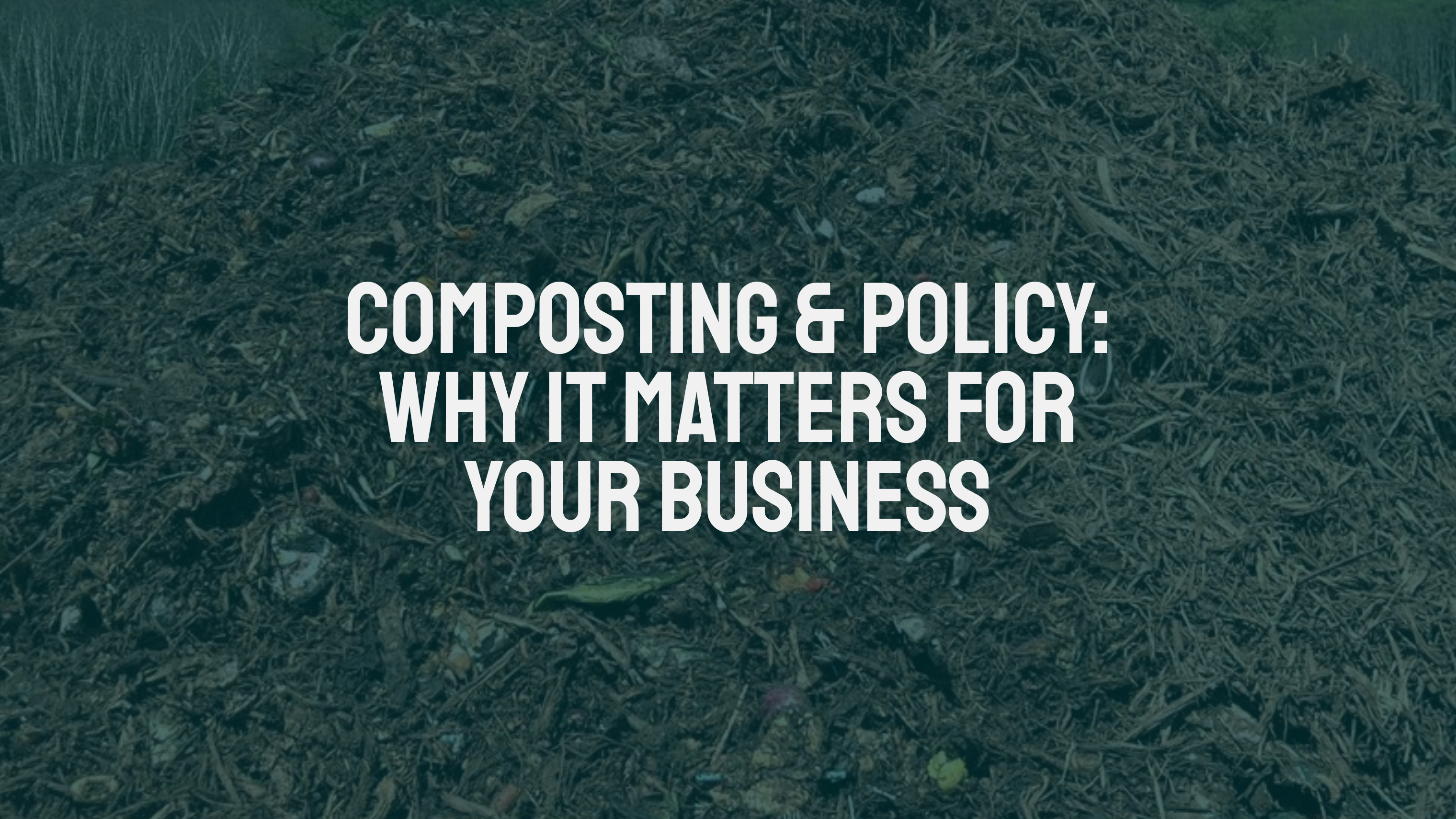 Composting & Policy: Why It Matters for Your Business