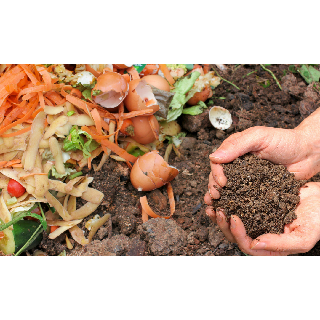 Compostable Bags: An Eco-Friendly Step Toward Zero Waste Living