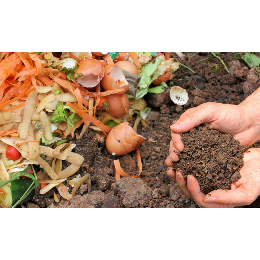 How does commercial composting work and how do I get started?