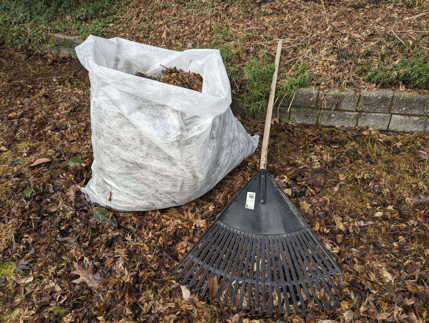 Compostable Lawn & Leaf Bag