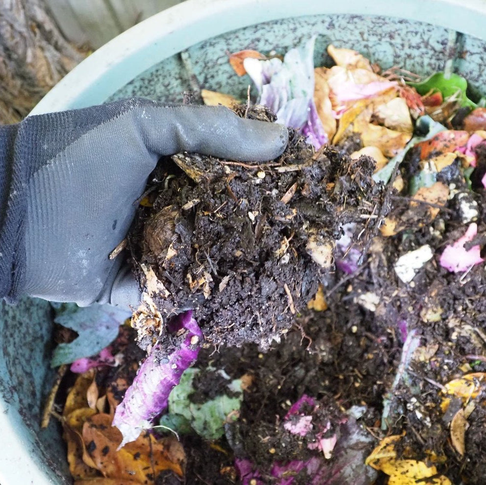 Food scraps and compost material