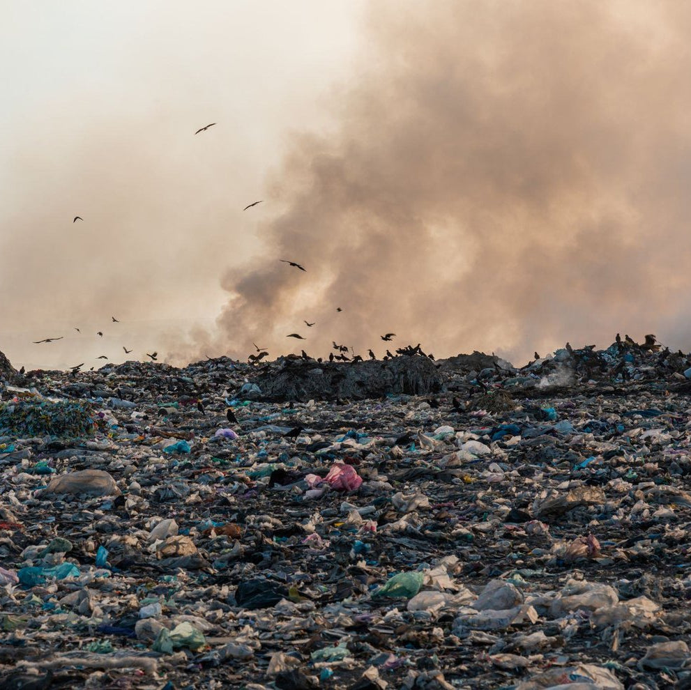 Landfill disposal site