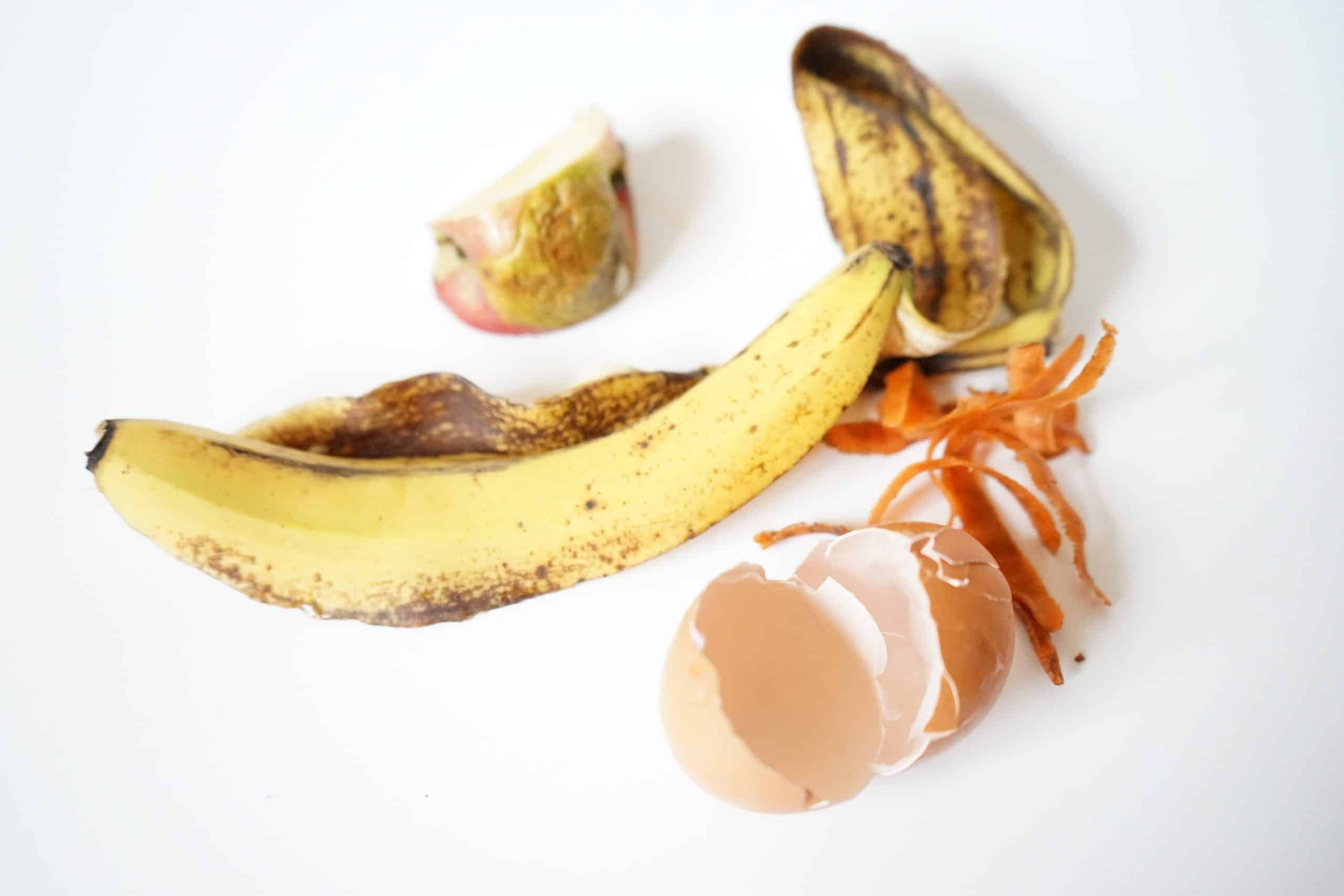 Why Bother Separating Food Scraps?