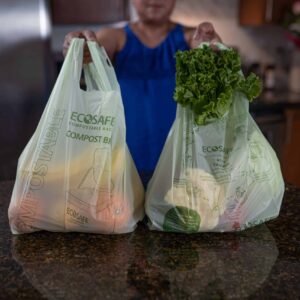 EcoSafe Grocery checkout bag holding