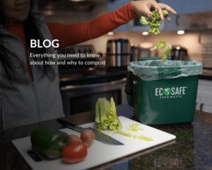 blog - everything you need to know about how and why to compost