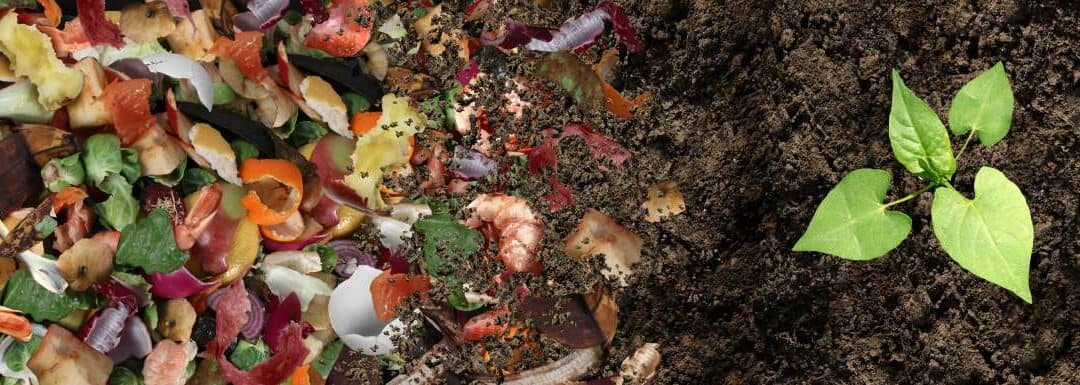 What is composting and why does it matter?