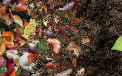What is composting and why does it matter?