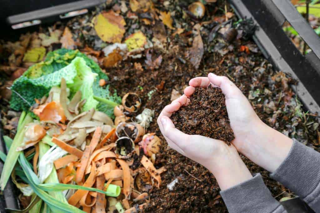 https://ecosafe.green/wp-content/uploads/2023/05/Hands-holding-compost-over-the-compost-bin.jpg