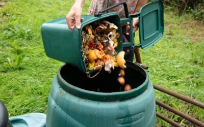 The Dirt on Compost: What it is & How it’s Made