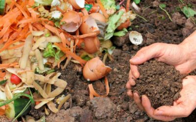 How does commercial composting work and how do I get started?