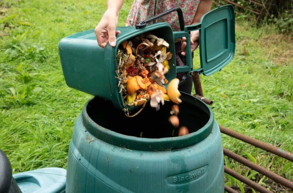 10 Facts About Composting That Your Family Never Knew