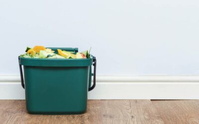 What is a Compost Bin and Why Are They Beneficial?