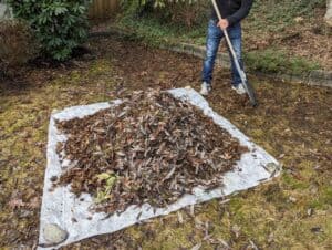 Man-raking-leaves-onto-compostable-tarp